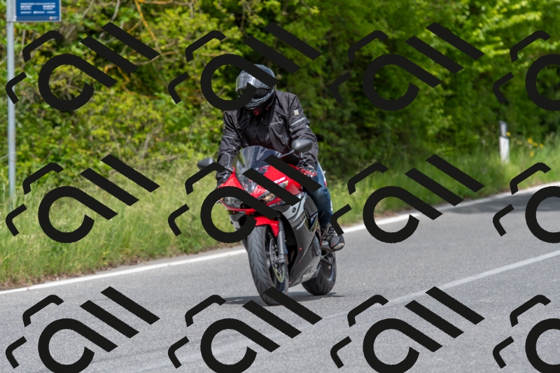 SMN8196