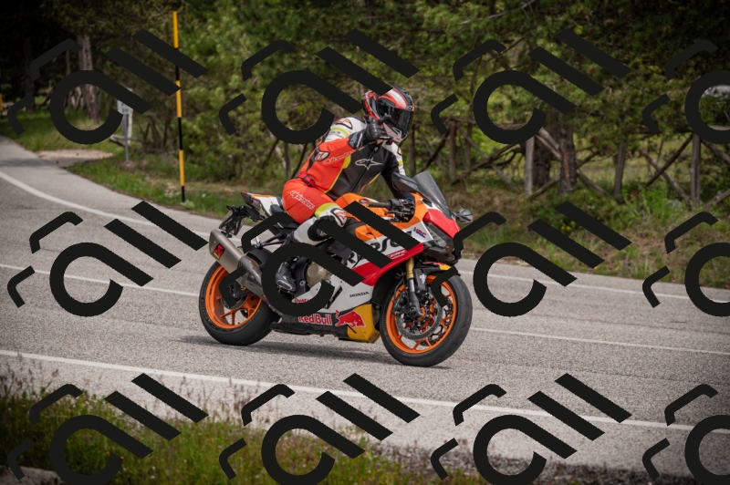 04052025-Z62_6599