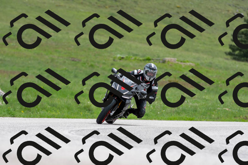 SMN0536