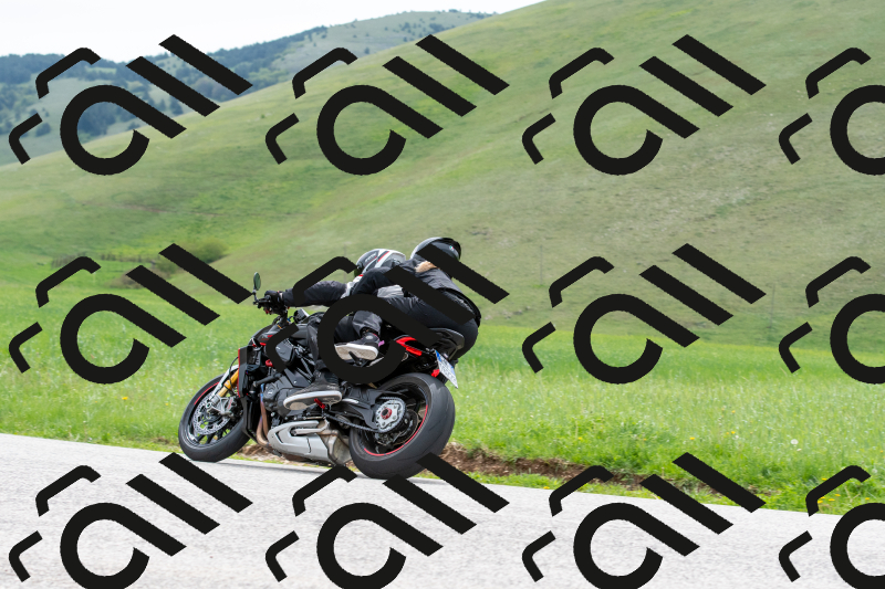 SMN0567