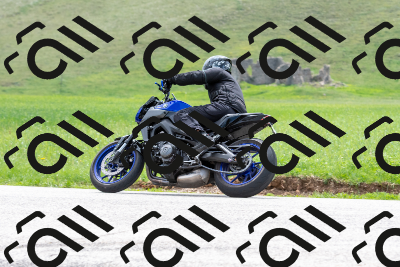 SMN0597