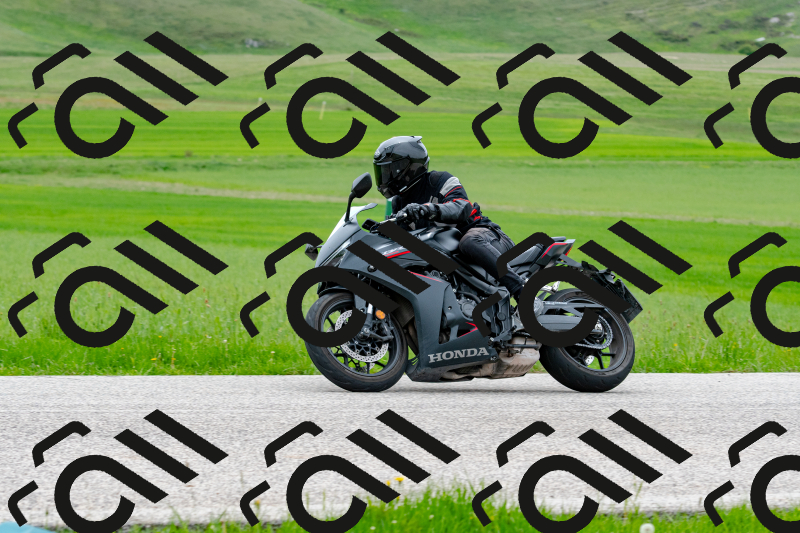 SMN1196