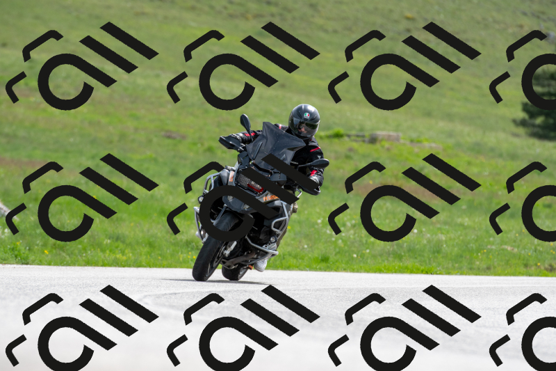 SMN0119