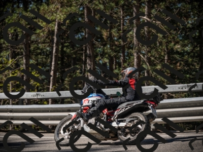 20250517_1004_am_-13