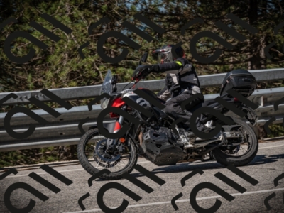 20250517_1004_am_-16