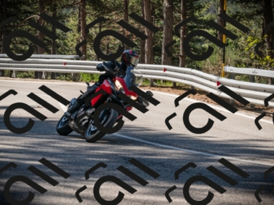 20250517_1015_am_-10