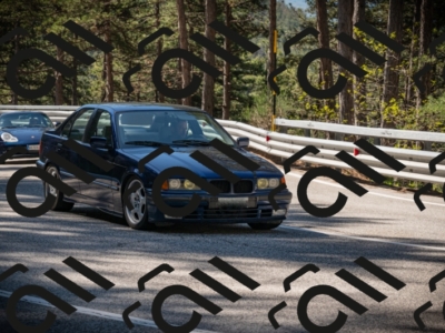 20250517_1015_am_-15