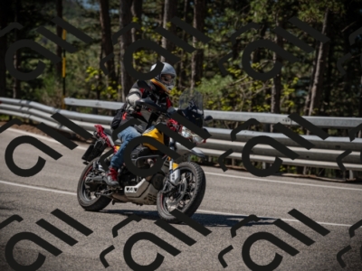 20250517_1034_am_-21