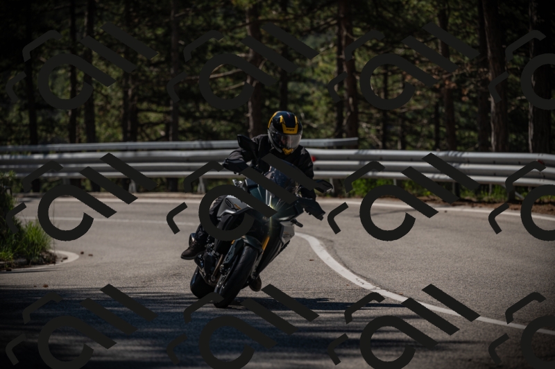 20250517_1034_am_-24