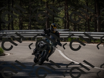 20250517_1034_am_-24