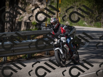 20250517_1036_am_-17