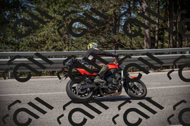 20250517_1056_am_-10