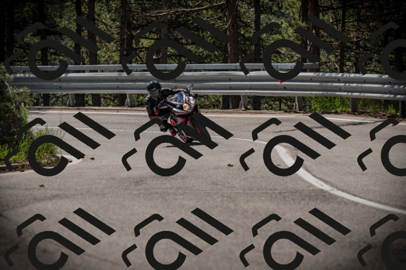 20250517_1100_am_-14