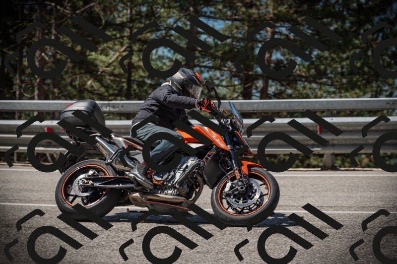 20250517_1100_am_-25