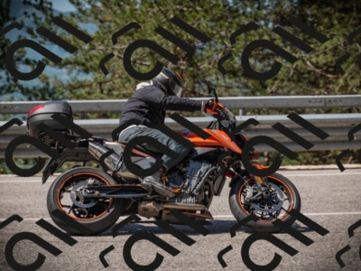 20250517_1100_am_-26