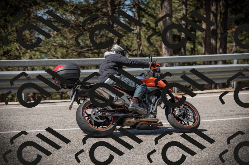 20250517_1100_am_-27