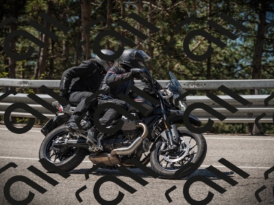 20250517_1102_am_-10