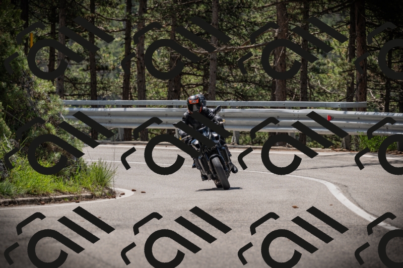 20250517_1129_am_-11