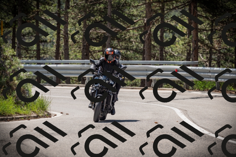 20250517_1129_am_-12