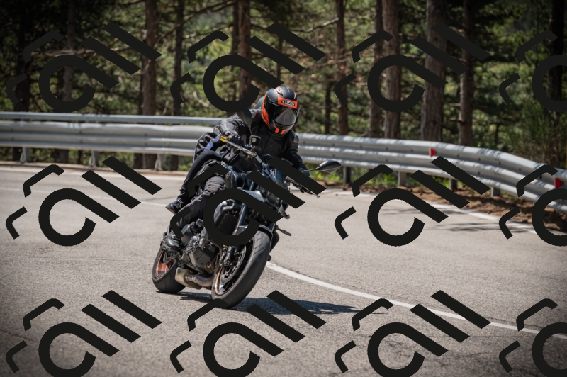 20250517_1129_am_-13