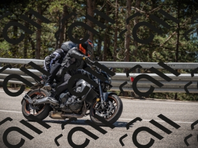 20250517_1129_am_-14