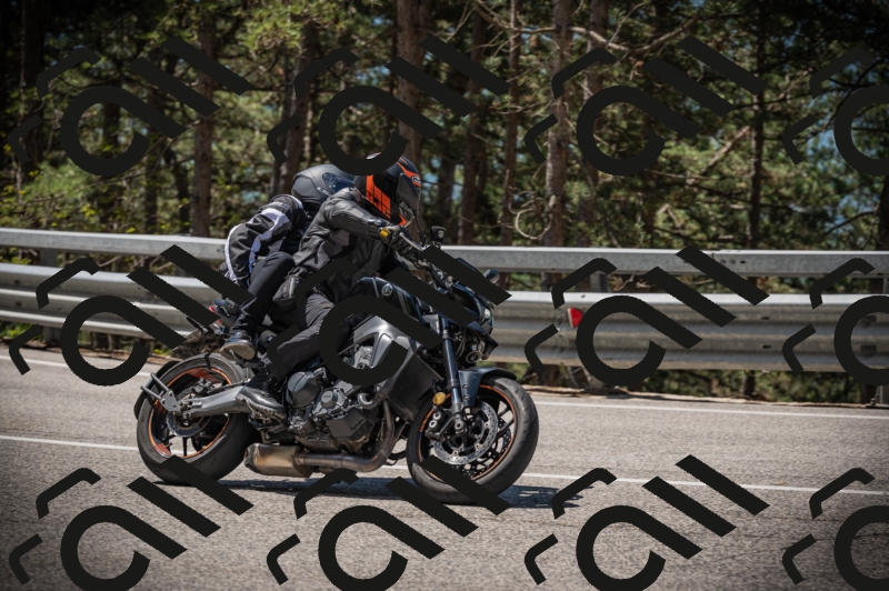 20250517_1129_am_-14