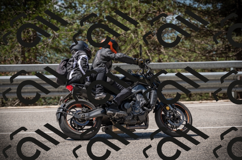 20250517_1129_am_-15