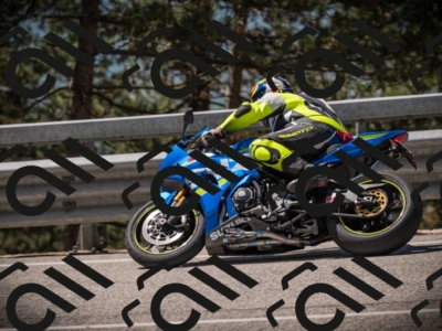 20250517_1131_am_-14