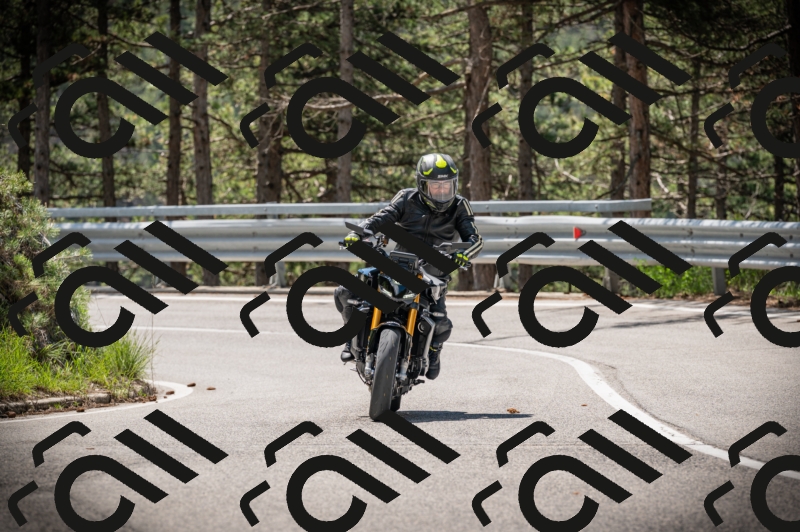 20250517_1134_am_-12