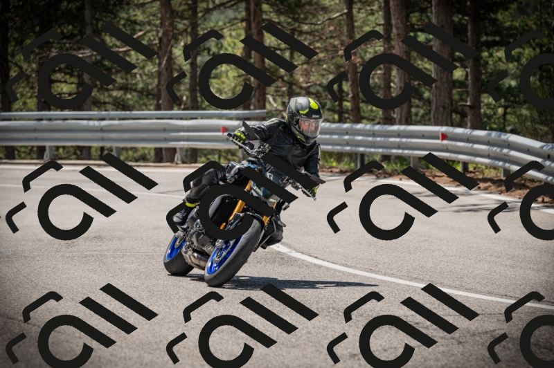 20250517_1134_am_-13