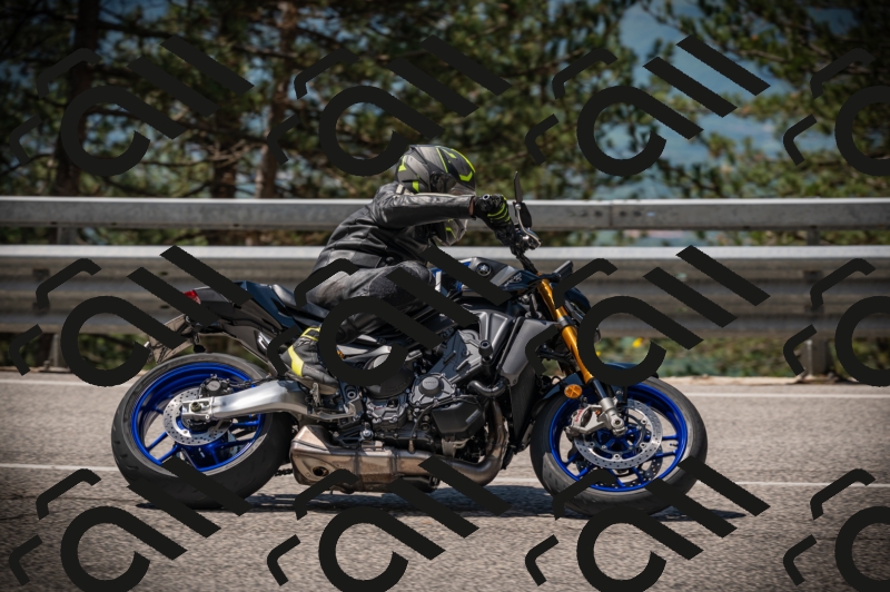 20250517_1134_am_-14