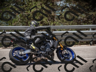 20250517_1134_am_-15