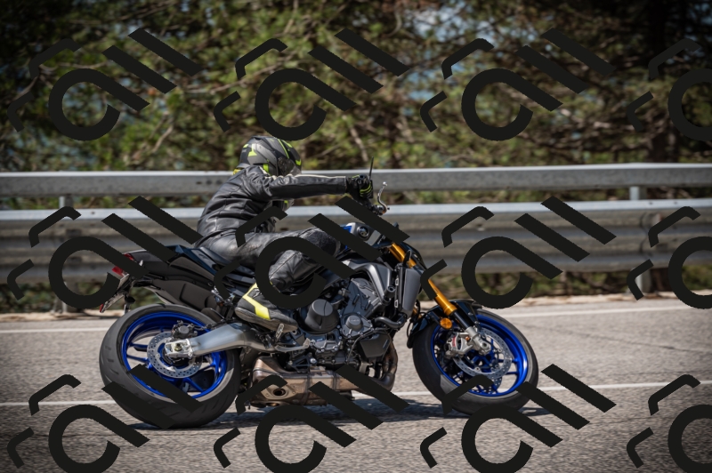 20250517_1134_am_-15