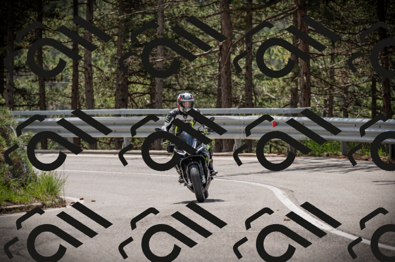 20250517_1159_am_-16