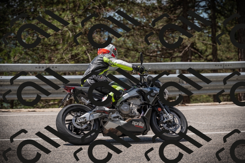 20250517_1159_am_-19