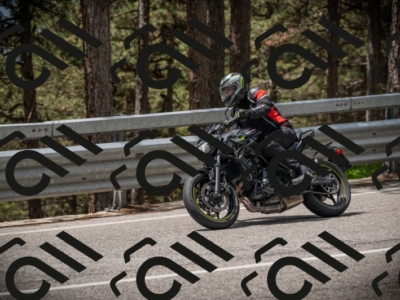 20250517_1213_am_-19