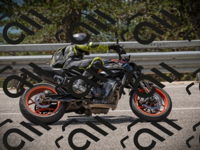 20250517_1223_am_-15