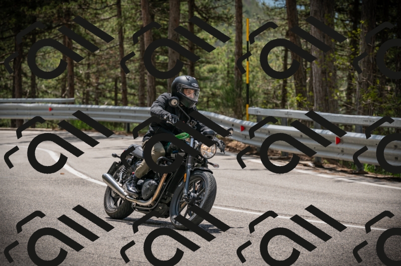 20250517_1225_am_-16