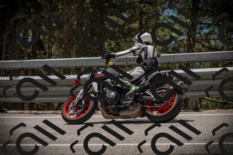 20250517_1228_am_-10