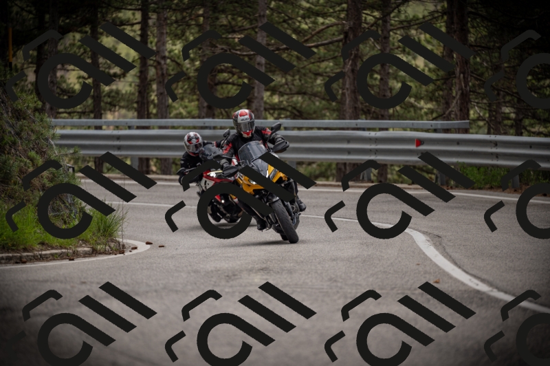 20250517_1241_am_-14