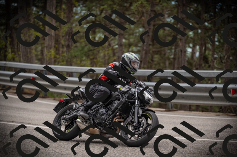 20250517_1242_am_-17