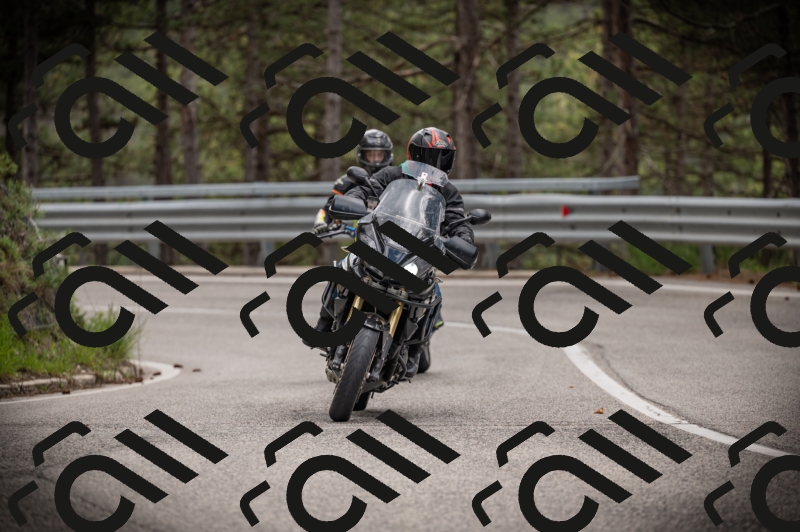 20250517_1245_am_-14