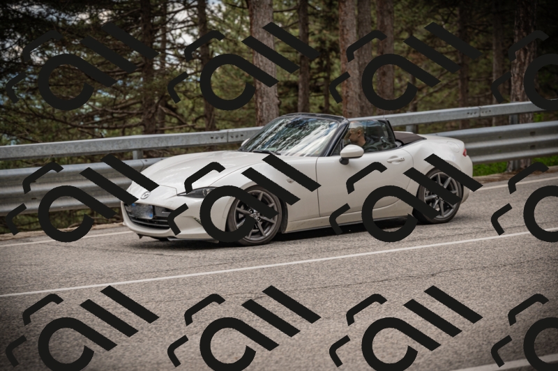 20250517_1245_am_-19