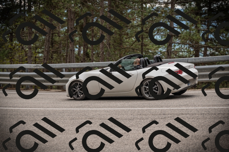 20250517_1245_am_-21