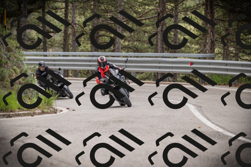 20250517_1247_am_-17