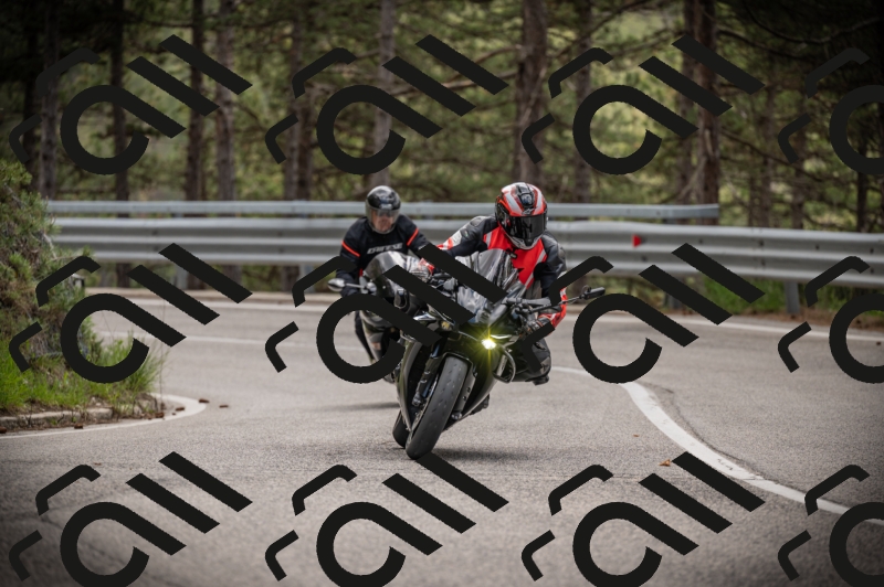 20250517_1247_am_-19