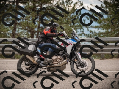 20250517_1248_am_-10