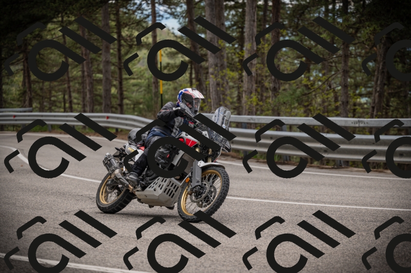 20250517_1248_am_-15