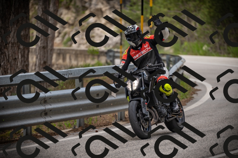 20250517_1254_am_-10