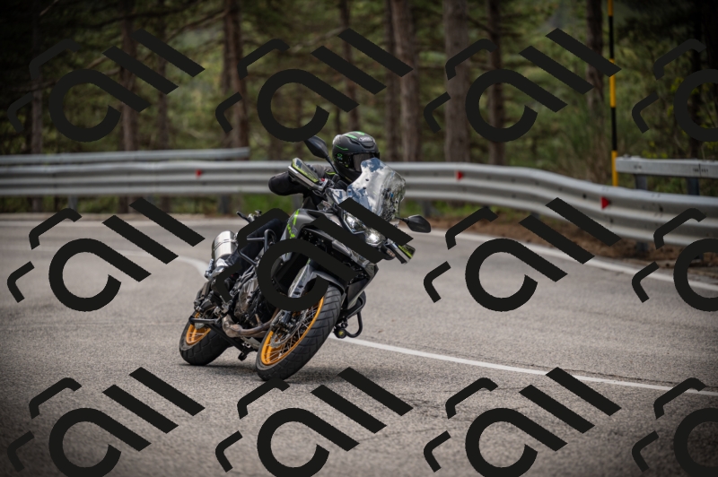 20250517_1256_am_-16